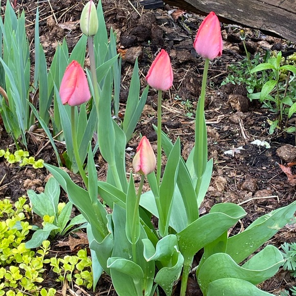 Meet your Posher, Kathy - Picture 11 of 11